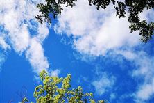 迎“藍”而上！直擊攀枝花、德陽、內江大氣攻堅現場