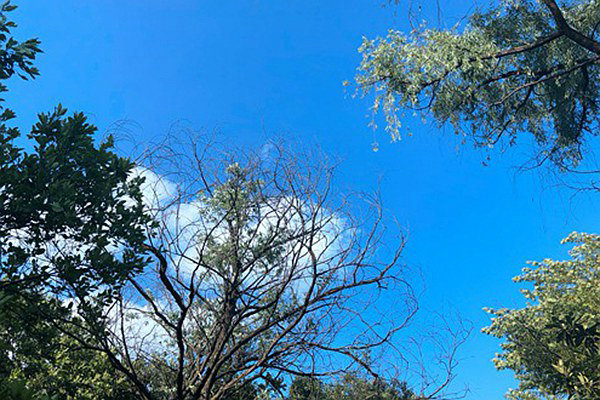 烏魯木齊道路積塵治理有妙招：動態(tài)監(jiān)測 聯(lián)合督導，助力空氣質(zhì)量改善